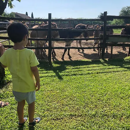Gospodarstwo agroturystyczne Pian De' Somari